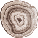    00847A BROWN / BROWN