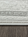 Российский прямоугольный ковёр 30020E L.GREY / CREAM