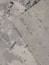 Ковровая дорожка F169 CREAM-D.GREEN 