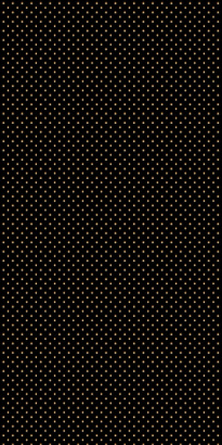 Российская прямоугольная дорожка p001 BLACK