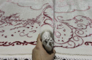 Турецкий овальный ковёр 07857A FUCHSIA /WHITE