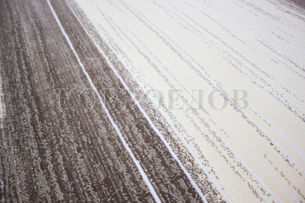 Молдавский прямоуголный ковёр 6142-50177