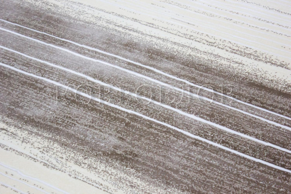 Молдавский прямоуголный ковёр 6142-50177