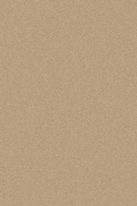 Российский прямоугольный ковёр t600 BEIGE DARK BEIGE