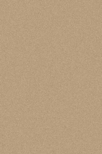 Российский прямоугольный ковёр t600 BEIGE DARK BEIGE