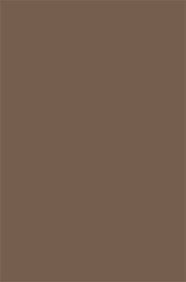 Российский прямоугольный ковёр t600 BEIGE DARK BROWN