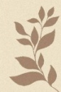 Российский прямоугольный ковёр t647 CREAM-D.BEIGE