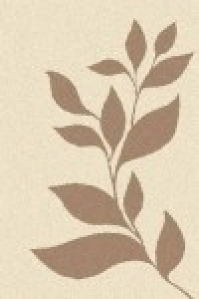 Российский прямоугольный ковёр t647 CREAM-D.BEIGE