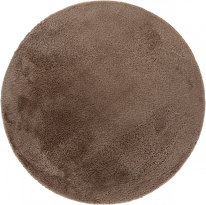    PX2001 CAMEL