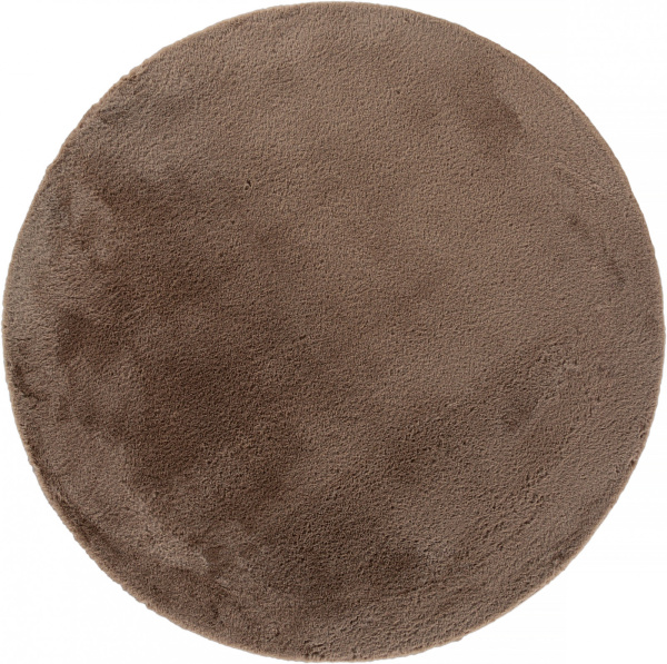    PX2001 CAMEL